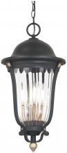 Minka-Lavery 73237-738 - Peale Street - 4 Light Outdoor Chain Hung