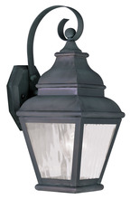Livex Lighting 2601-61 - 1 Light Charcoal Outdoor Wall Lantern