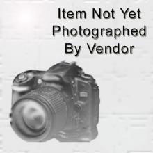 LIVEX LIGHTING Family