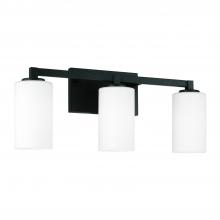 Capital 119831BI-545 - 3 Light Vanity