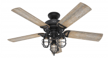 Hunter 50409 - Hunter 52 inch Starklake Natural Black Iron Damp Rated Ceiling Fan with LED Light Kit